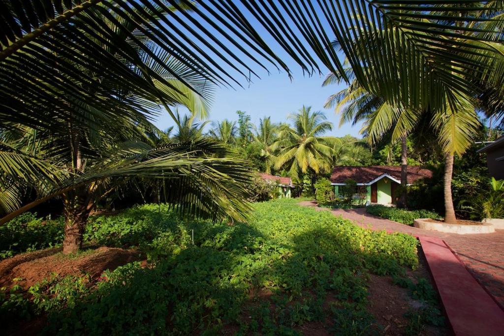 Dunhill Beach Resort Agonda Esterno foto